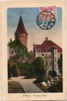 Opole Piast Castle Emb. (EK)