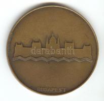 1930. "XII. Nemzetközi Építész Kongresszus-Budapest" Br plakett (d=61mm) T:2