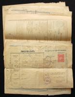 1915-1924 11 db okmánybélyeggel ellátott marhalevél az állatok utaztatásához