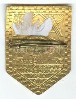 Ausztria 1912. XXIII. Nemzetközi Eucharisztikus Kongresszus aranyozott jelvény (35x45mm) szign.: Brü...