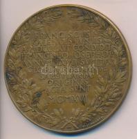 1916KB. St.Schwartz (1851-1924) 1916. "Privilegirte Oesterreichische Bank" Br emlékérem (d...