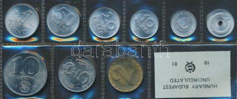 1981. 2f-10Ft 9db klf érmés forgalmi sor fóliatokban T:1