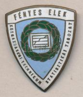 1952. "Fényes Elek Közgazdasági Technikum Statisztikai Tagozat" zománcozott iskolajelvény T:2