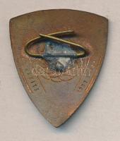 1952. "Fényes Elek Közgazdasági Technikum Statisztikai Tagozat" zománcozott iskolajelvény ...