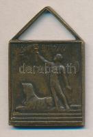 ~1910. Szabadkőműves Br jelvény - Kazinczy páholy T:2-