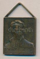 ~1910. Szabadkőműves Br jelvény - Kazinczy páholy T:2-