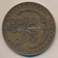 Bozó Gyula: 1988. "Szent Jobb országjárása-Szent István halálának 950. évfordulója" nagyalakú Br emlékérem (70mm) T:2