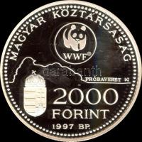 1997. 2000Ft Ag "WWF - Óvd a természetet - Füsti fecske" "PRÓBAVERET" T:PP Csk 30db! RR! /  Hungary 1997. 2000 Forint Ag "WWF - Protect Nature - Hirundo Rustica" "TRIAL STRIKE" C:PP Only 30 examples! RARE Adamo EM154.