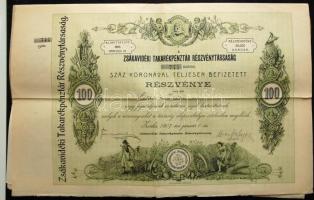 Zsáka 1907. "Zsákavidéki Takarékpénztár Részvénytársaság" részvénye 100K-ról szelvényekkel és elővételi jog gyakorlásáról szóló pecsét