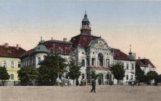 Nagybecskerek County hall