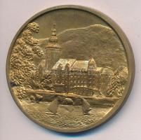 Tóth Sándor: DN (1965.) "Miskolc 600 éves" Br emlékérem (42mm) T:2