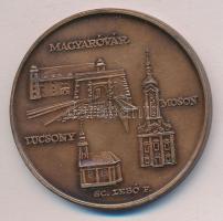 Lebó Ferenc: 1989. "Mosonmagyaróvár 50 éves / Magyaróvár - Lucsony - Moson" Br emlékérem (...
