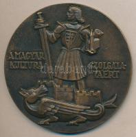 Boldogfai Farkas: "A magyar kultúra szolgálatáért M. kir. vallás és közoktatásügyi minister" nagyalakú Br emlékérem (93mm) T:2