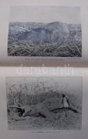 Kittenberger Kálmán: A megváltozott Afrika. Nagybányai Horthy Jenő előszavával, 109 képpel. Franklin...