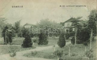 Gödöllő méhészeti igazgatóság