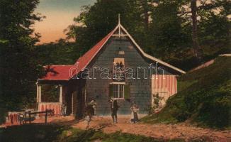 Gaina-hegy (Arad) Czárán Gyula tourist house, weather station