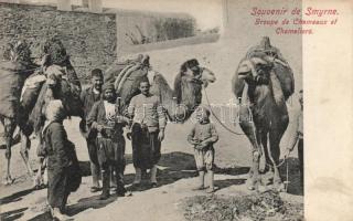 Smyrna camels, folklore