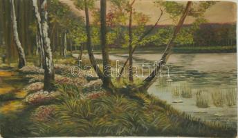 Hell. E. jelzéssel: Tópart. Olaj, karton. 70x50 cm