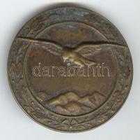 ~I. Világháború Babér-és tölgyfa koszorúval szegélyezett turul madaras Br jelvény (46mm) valószínűleg pilóta(megfigyelő) jelvény T:2