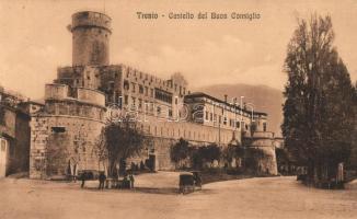 Trento Castello del Buon Consiglia