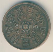 Csúcs Viktória (1934-) 1973. "MÉE - Magyarország" Br emlékérem (d=42mm) T:1-