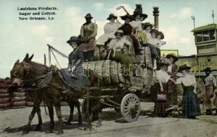 New Orleans, Louisiana Products, sugar and cotton