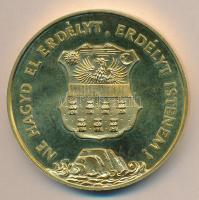 1989. "Temesvár - Erdély" aranyozott nagyméretű piefort emlékérem (d=65mm) T:PP