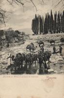 Smyrna camel caravan