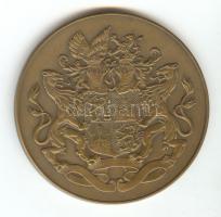 Hollandia DN "Claus von Amsberg herceg" Br emlékérem (50mm) T:2
Netherlands ND "Princ...