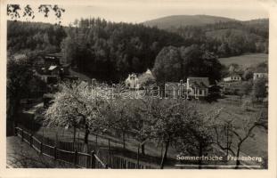 Hluboká nad Vltavou (Frauenberg)