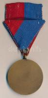 1964. Munkásőr kitüntetés mellszalaggal, szalagsávval és miniatűrrel T:1