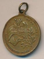 1898. "1848-1898 Szabadságharcunk Dicső Emlékére" Br emlékérem T:2-