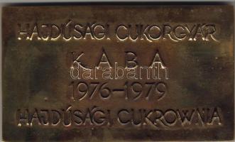 1976. "Hajdúsági Cukorgyár-Kaba-Cukorowna" dekoratív bronzplakett díszdobozban T:2