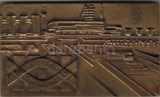 1976. "Hajdúsági Cukorgyár-Kaba-Cukorowna" dekoratív bronzplakett díszdobozban T:2