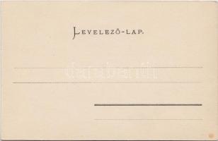 Marosvásárhely, Izraelita templom; Weinrich S. felvétele / synagogue