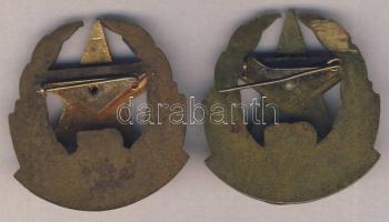 1975. "Díszszemle 30" + 1980. "Díszszemle 35" kitüntetés T:2