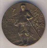 Németország ~1900. "Ski Heil" síelés sport Br emlékérem (40mm) T:2 ph. Germany ~1900. "Ski Heil" skiing sport Br medallion (40mm) C:XF edge error