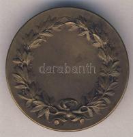 Németország ~1900. "Ski Heil" síelés sport Br emlékérem (40mm) T:2 ph.
Germany ~1900. &quo...