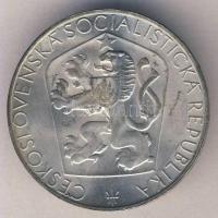 Csehszlovákia 1965. 25K Ag "Felszabadulás 20. évfordulója" T:2
Czechoslovakia 1965. 25 Kor...