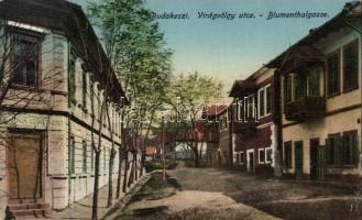 Budakeszi Virágvölgy utca, szövetkezet