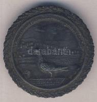 ~1900. "Rákosvidéki Postagalamb Sportegyesület" fém emlékérem (49mm) T:2