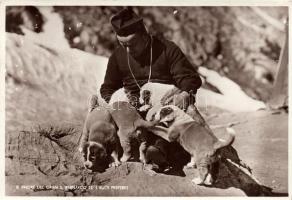 Priest with St. Bernard dogs