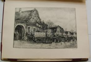 A felszabadult Magyarország negyed százada.
Bp. 1970. k.n. Varga Nándor, Pásztor Gábor, Gars Gábor, ...