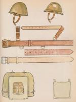 Militária témájú könyvek: Dunától a Donig, Front, Lengyel katonai könyv rengeteg illusztrációval