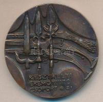 1981. "Balatonszentgyörgy-Csillagvár / Keszthelyi Éremgyűjtő Csoport" Br emlékérem (49mm) ...