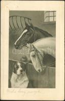 Horses and dog