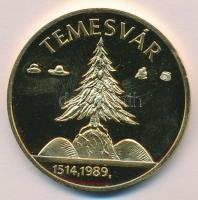 1989. "Temesvár - Erdély" aranyozott emlékérem (d=42mm) T:PP