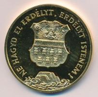 1989. "Temesvár - Erdély" aranyozott emlékérem (d=42mm) T:PP