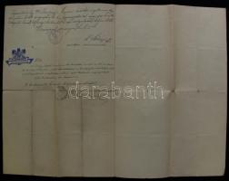 1898 Dr. Torday Árpád tartalékos orvosasszisztensi kinevezése szárazpecséttel gyakorlati igazolásokk...