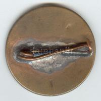 Horvátország 1911. "Hrv. Sokol - II. Hrvatski Sokolski Slet u Zagrebu 1911g. Značka - Ivo"...